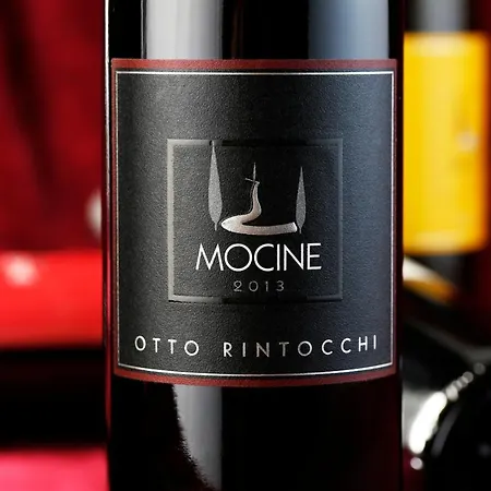 Mocine Asciano