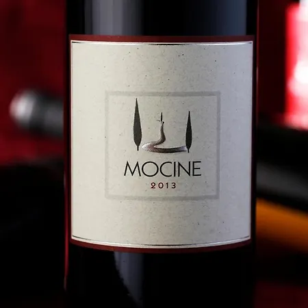 Farm stay Mocine *