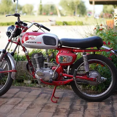 Mocine Asciano