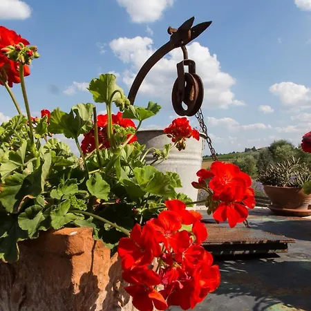 Mocine Farm stay Asciano