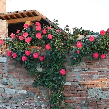 Farm stay Mocine Asciano