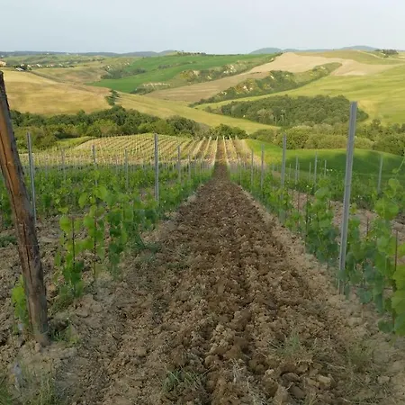 Farm stay Mocine Asciano