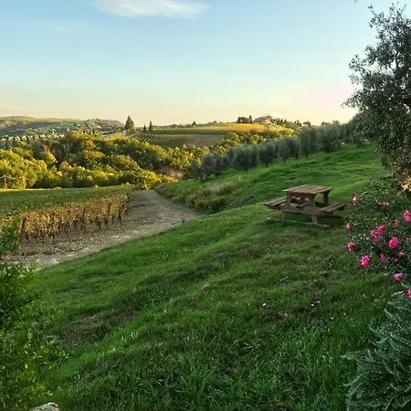 Alojamento de Turismo Rural Mocine Asciano