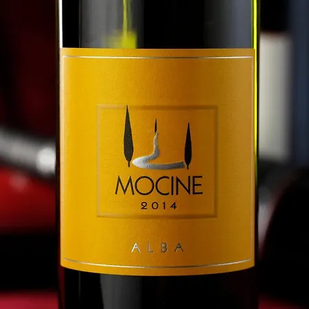 Mocine Alojamento de Turismo Rural