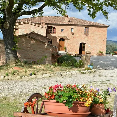 Mocine Asciano